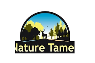 design unique natural solar logo