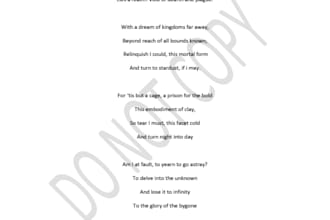 provide you with outstanding writing solutions