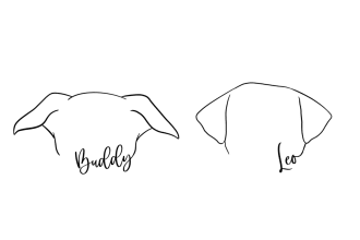 draw your pets ear outline