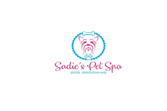 design a classy spa emphasized logo in 1 day