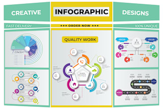 design professional infographic flow chart, pie chart, diagram in 12hrs