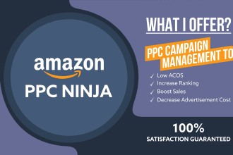 setup and optimize amazon fba PPC campaigns