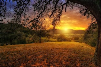 sell the pack of pictures in high resolution for creators