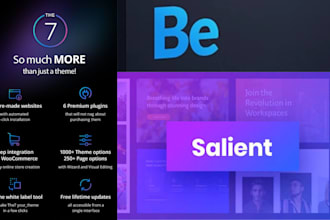 do betheme, the7 theme, salient theme expert