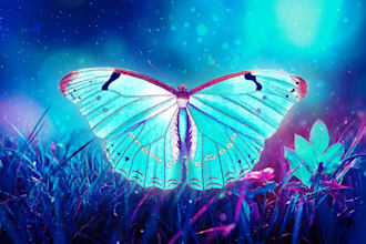 provide prophetic spiritual coaching services