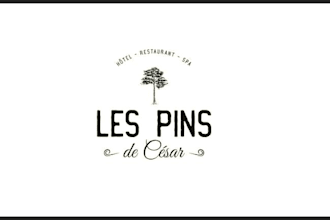 travel, adventure, tour, hotel and resort logo design