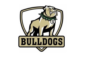 design high quality bulldog military logo with my creative