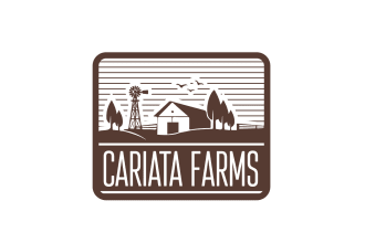 do a green, natural, tree, landscape, agriculture lawn care logo