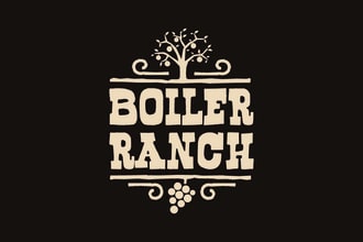 do a classic retro vintage hipster or hand lettering logo