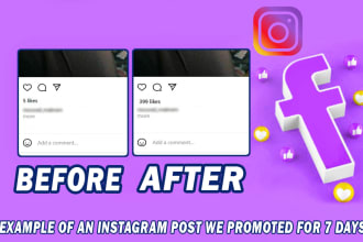 promote your facebook, instagram or twitter post professionally