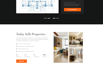 do custom wordpress website design or business website development