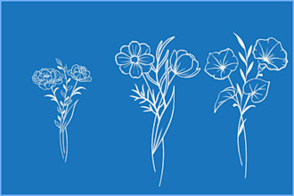 hand draw botanical illustration line art of plants, flowers