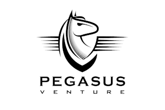 do modern custom pegasus logo design