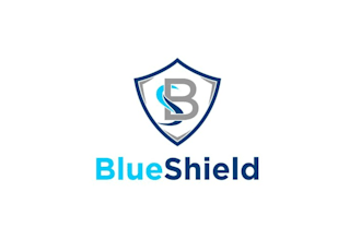 design dynamic unique cute blue shield logo for you