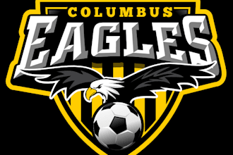 design modern professional football logo