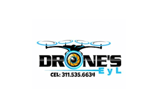design high quality drone logo in high definition