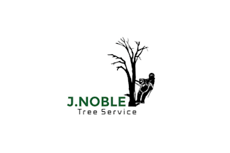 do premium beautiful wonderful trees service logo design service