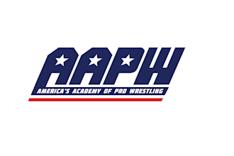 do a high quality wrestling logo design with express delivery