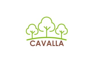 design amazing perfect catchy cavalla forest logo fast delivery