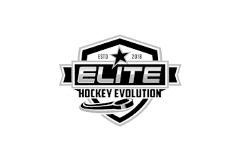 design attractive popular brand hockey evolution logo