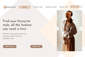 create a premium quality shopify store