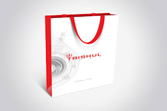 design luxurious shopping bags and paper bags in 24 hours