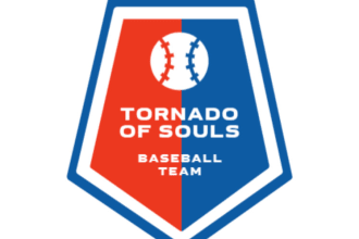 design creative baseball logo with new concept in 1 day