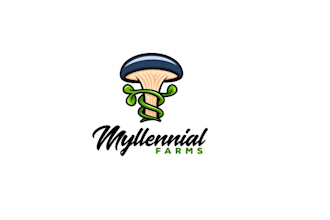 design original mushroom logo for your business