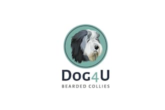 design wonderful excellent logo for a carinthian dog breeder