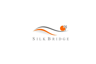 design modern nice silk bridge logo