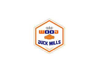 design a modern wood duck mills logo