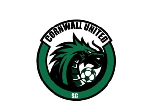 do a professional modern football, the dragon logo