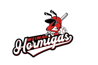 make a baseball logo design with unlimited revisions