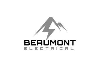 design modern electrical logo within 15 hours