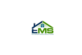 design classic exterior mold solutions logo
