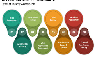 provide application security assessment and penetration testing