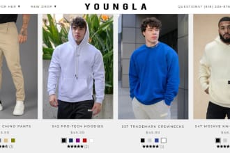 make shopify clothing store and  fashion store