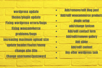be your wordpress virtual assistant wordpress help