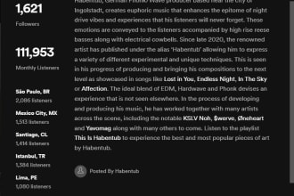 write a professional artist biography within 24 hours