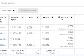 be your facebook instagram ads lead generation expert