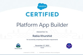train you to be a salesforce expert