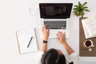 do fast manual typing task, copy paste job, perfect typist