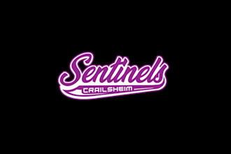 create winners baseball team logo