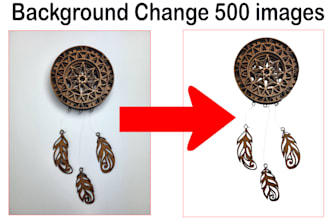 pro background removal image