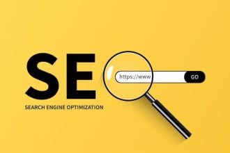 do wordpress website optimization