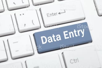 do data entry, web research, copy and paste and typing job