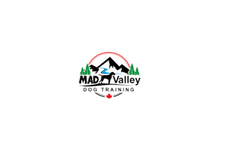 design improving over time mad valley dog training logo