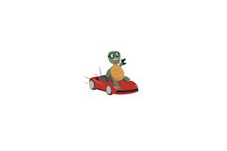 design improving over time torque turtle logo
