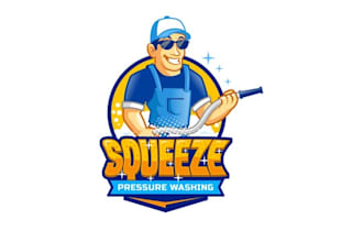 create a distinctive, timeless, and copyrighted pressure washing logo or symbol