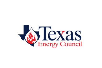 do a unique tech and powerful energy logo in 1 day